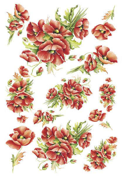 papier ry�owy pau003