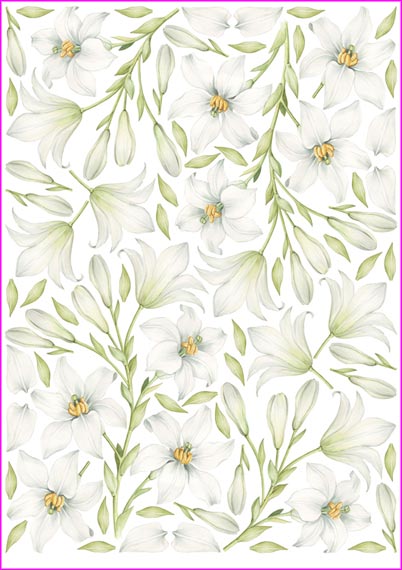 papier ry�owy pau018