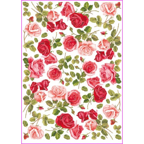 papier ry�owy pau021