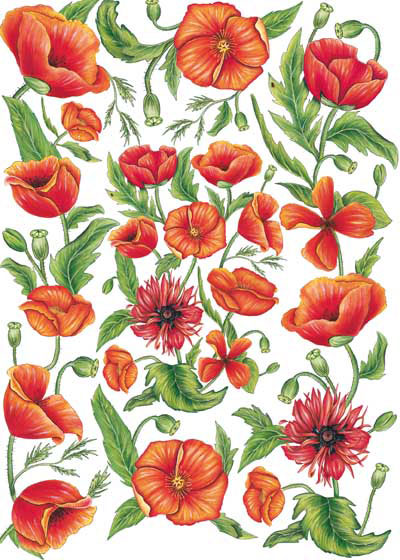 papier cal133