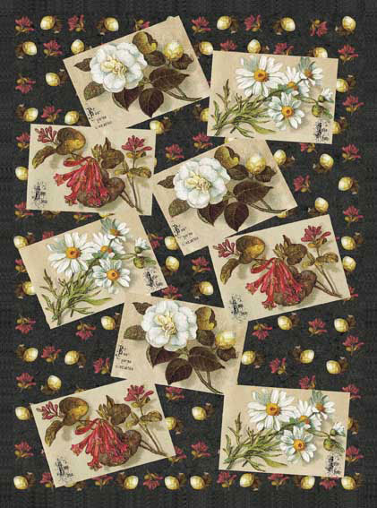 papier cal34