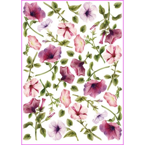 papier ry�owy pau022