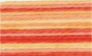 Petra 5 nr 54120