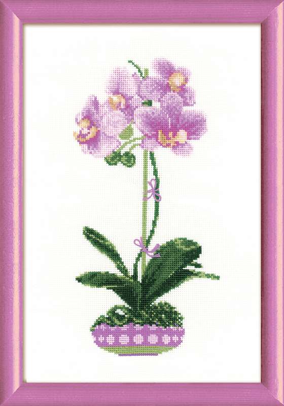 zestaw riolis  1163 - orchidea