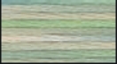 Color Variations kol. 4065